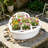 Transparent Plastic Bulb Pots For Hydroponics