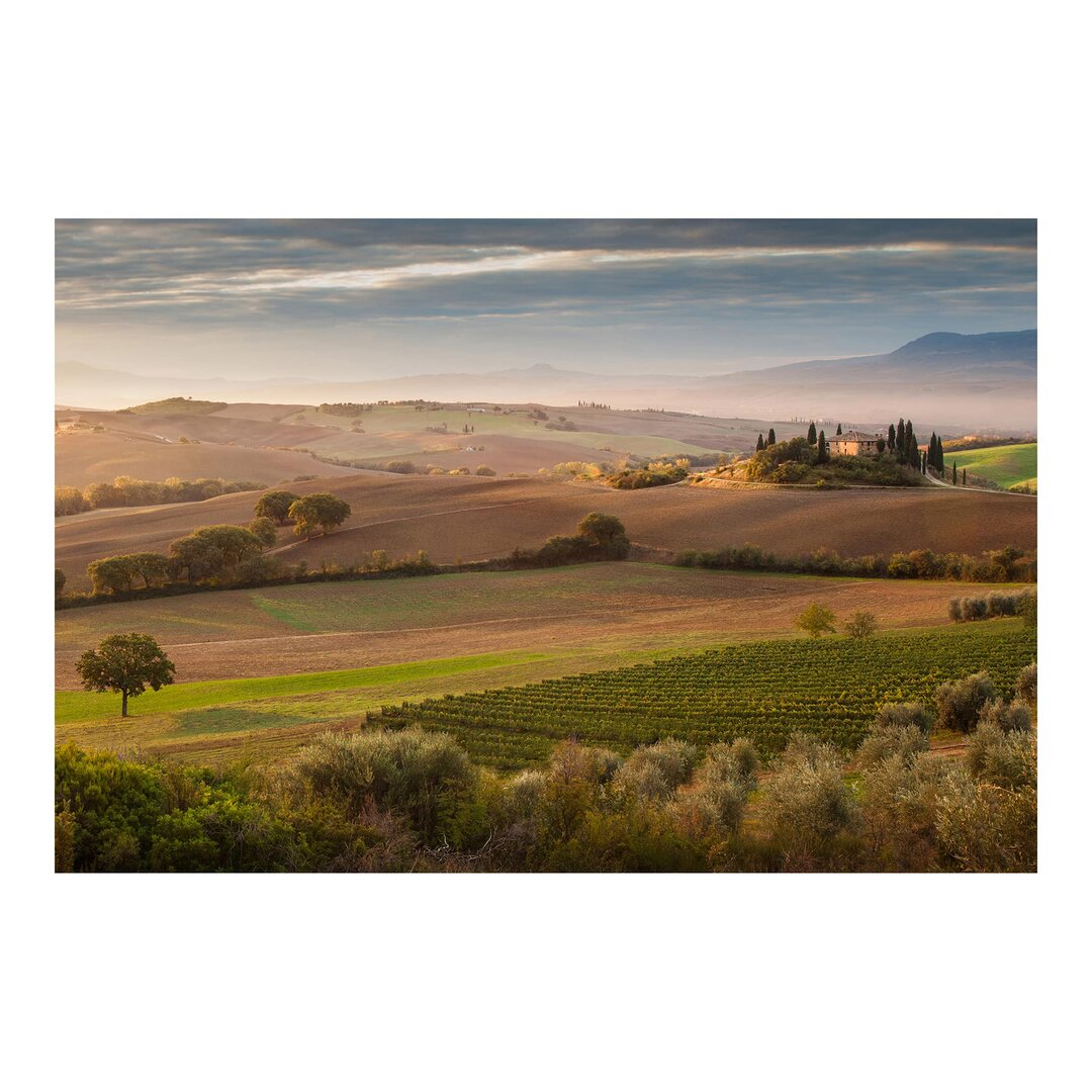 Strukturierte Tapete Olive Grove in Tuscany 1,9 m x 288 cm