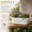 Metal Plant Trays/ Stands