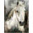 Casper by Studio Arts Canvas Art Print-162793222-162793225