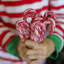 18.7cm Striped Pick