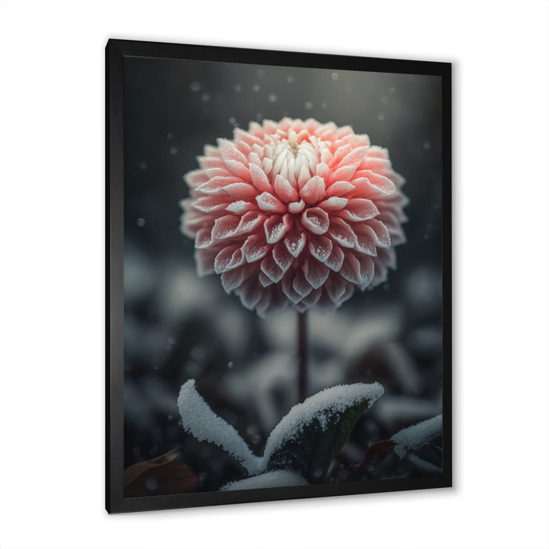 «A Blooming Pink Dahlia Flower in Winter III», impression sur toile, H 40 po x l 30 po x P 1,5 po