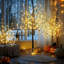  200 LED Birch Tree Light Set, 4ft, 5ft, 6ft Trees with Warm White Lights - Indoor Outdoor Christmas Wedding Party Decorations, Holiday Lighting (3-Pack)-1697275893