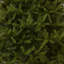 Norway Green Spruce Artificial Christmas Tree-1520326503
