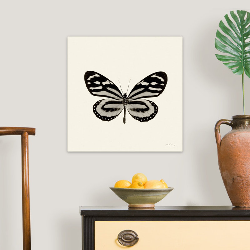« Butterfly VIII BW crop » par Debra Van Swearingen-impression, Toile tendue, H 36 po x l 36 po x 1,25 po
