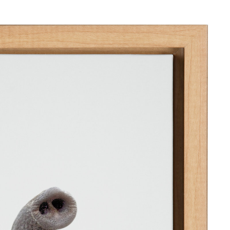 "Animal Studio Elephant" par Amy Peterson, reproduction d'art sur toile encadrée, H 24 po x l 18 po x P 1,63 po