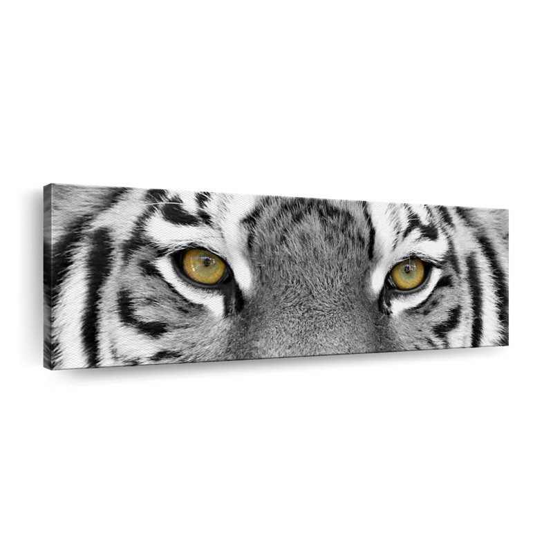 Œil de tigre blanc sur toile, H 8 po x l 24 po x P 1 po