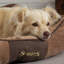 Chester Polyester Pet Bed-1147459510-1147459507
