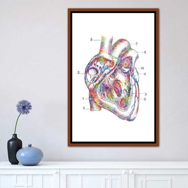 «Heart Cross Section» - Impression, H 26 po x l 18 po x 1,5 po, Cadre bois classique