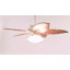 Herwarth Ceiling Fan with Light Kit