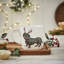Classic Wrendale Designs, Dachshund Snow Mug