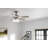 52'' Ceiling Fan with Light Kit-1329633896