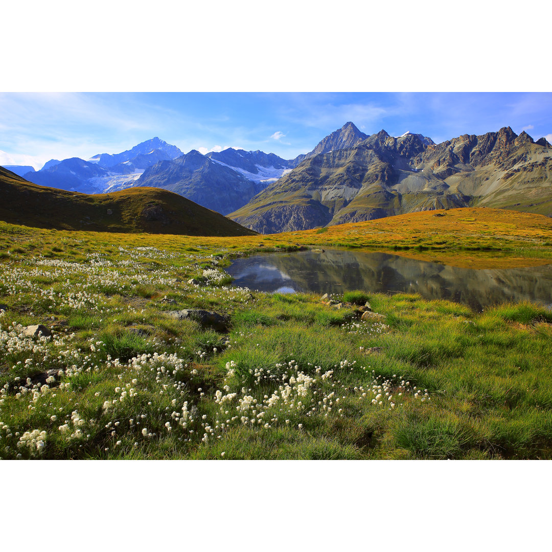 Schweizer Alpen von Agustavop - Leinwandbild