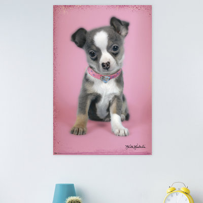 Animals Paper Print