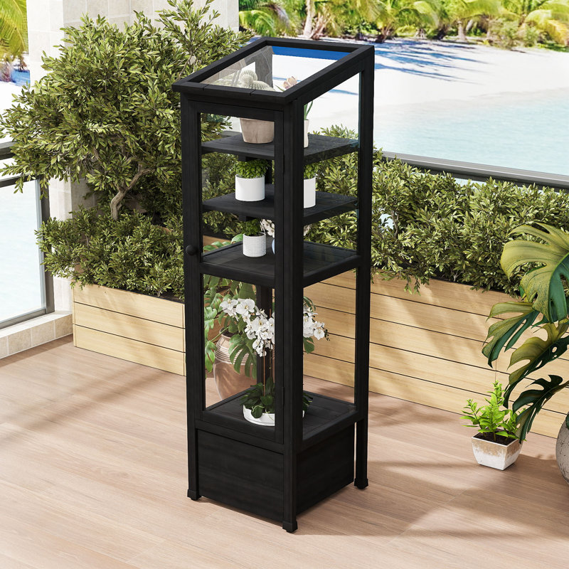 Mini Wood Greenhouse with Adjustable Shelves, Movable Storage Box and Openable Roof, Black