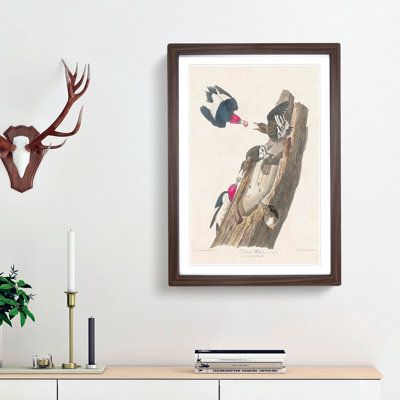 Red-Headed Woodpeckers by John James Audubon - Picture Frame Painting Print