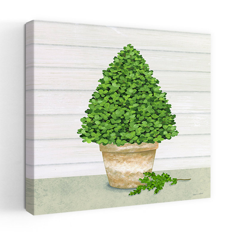 Arbre de buis en pot contemporain, H 18 po x l 18 po