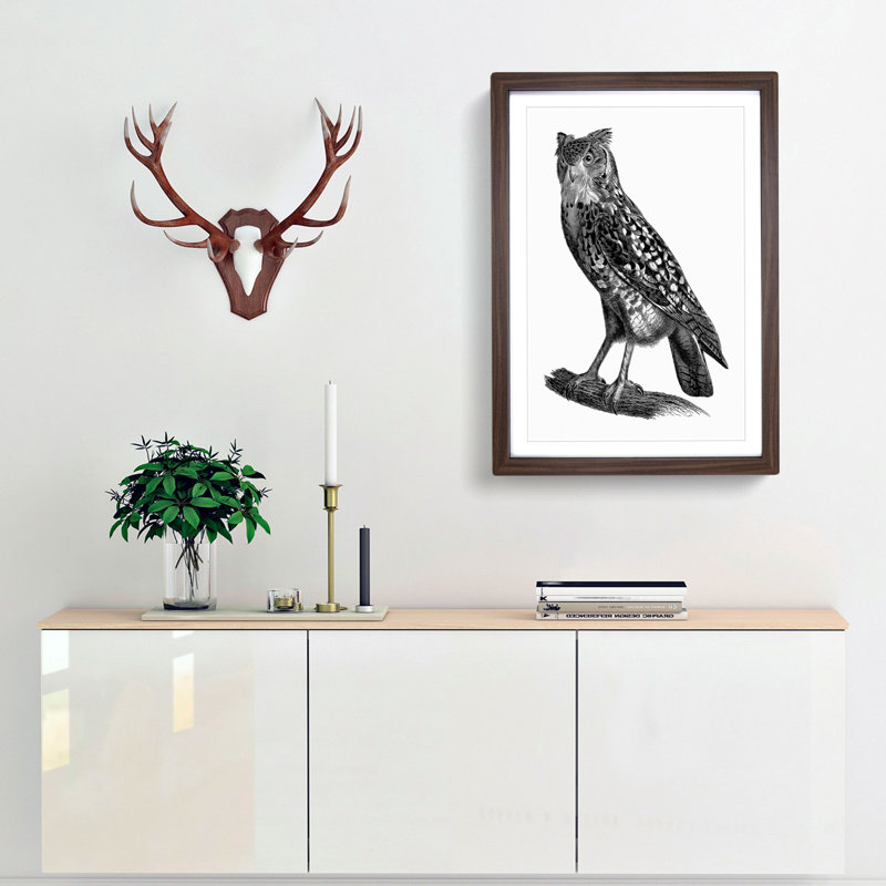 Egyptian Owl Illustration - Picture Frame Drawing Print, 65cm H x 48cm W x 2cm D, Walnut Framed