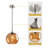 Charolyn 3 - Light Single Pendant Light Globe Pendant Light Fixtures Glass Pendant Lights Kitchen Island Lighting-1762425230-1749528565