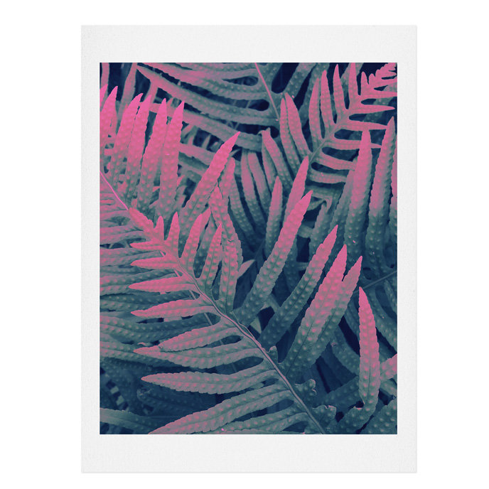 « bold ferns » par emanuela carratoni, reproduction de photo, H 14 po x l 11 po x P 0,12 po