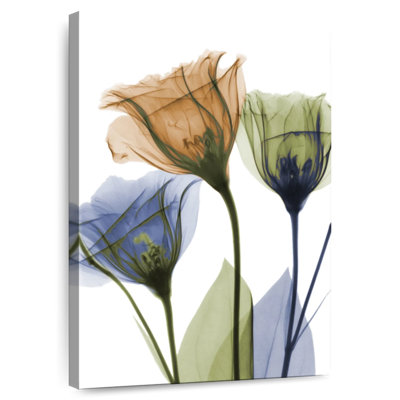 Harnek Gentian Buddies