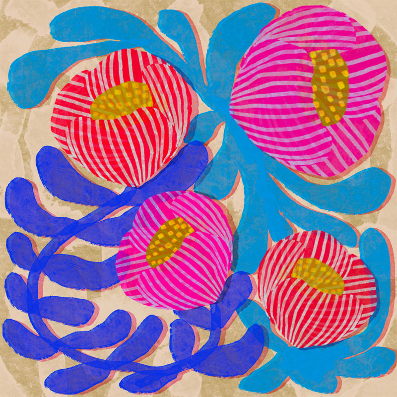 Sewzinski, grandes fleurs roses et bleues, H 12 po x l 12 po