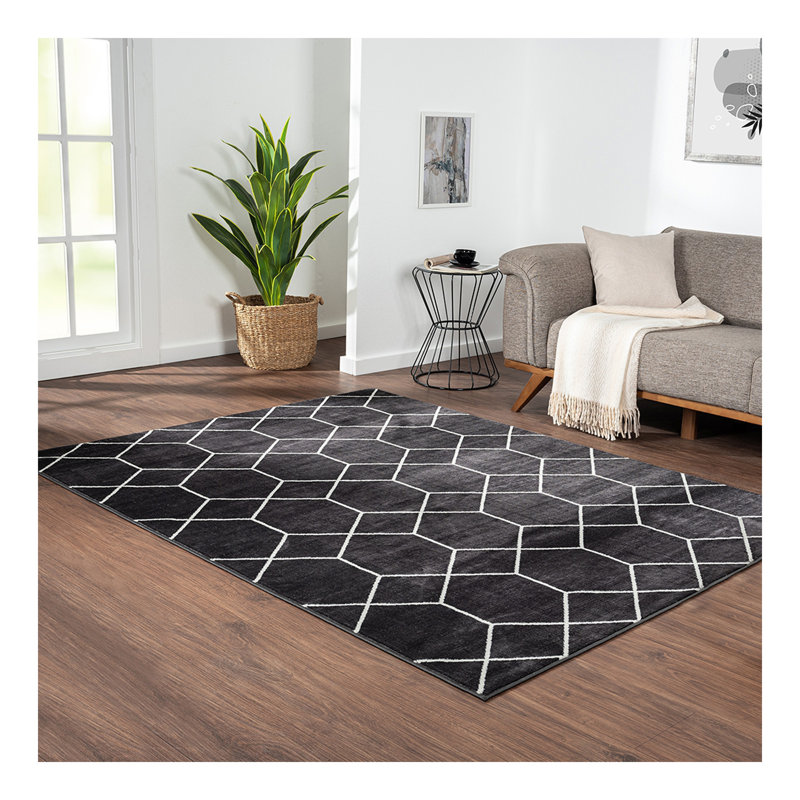 Trellis Geometric Woven Area Rug