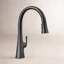 Graze Touchless Pull-Down Kitchen Sink Faucet with Voice Activation and Three-Function Sprayhead-1803117768