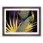 Captivating Peacock - Framed Print-760837689-760837690