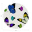 Napperon Butterfly-118138308