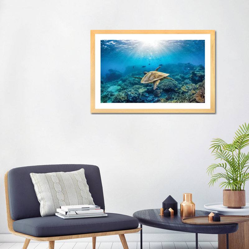 Reef Glider par Jordan Robins - reproduction d'art, Blanc, Toile avec cadre en bois beige, H 16 po x l 24 po x P 1 po