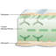 WP Pro Hn8 Foam Mattress-14667708-14667706