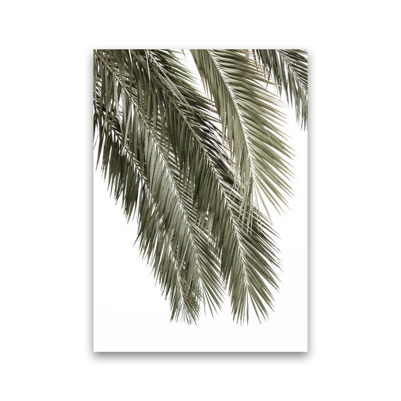 Palms by Victoria Frost - Print, Unframed, 84cm H x 60cm W x 1cm D