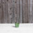 Alaunah Pot Planter-840690748-840690751