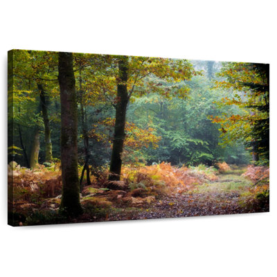 Harnek, feuilles d'automne de la forêt