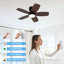 Ventilateur de plafond avec éclairage et télécommande, ventilateur de plafond extra-plat de 81 cm (32 pouces) avec éclairage