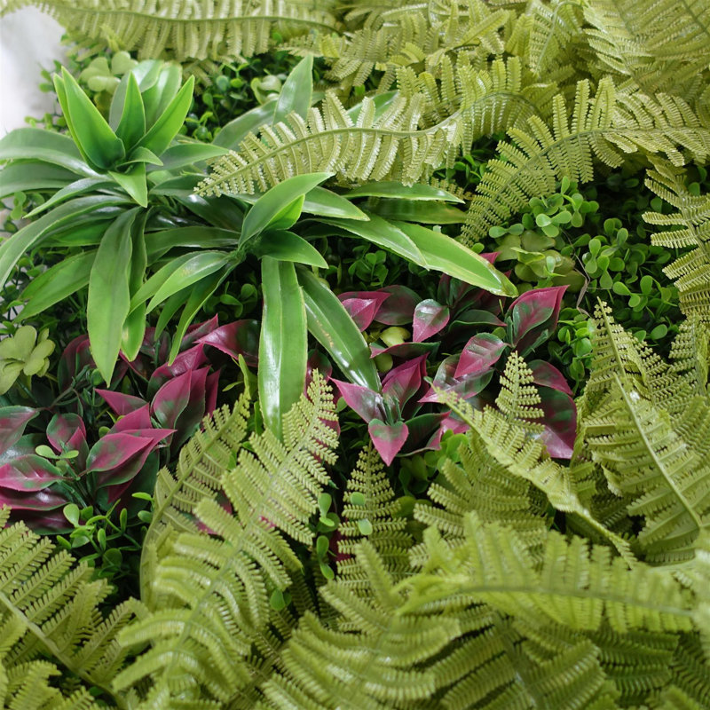 Greenwall 100 Plant