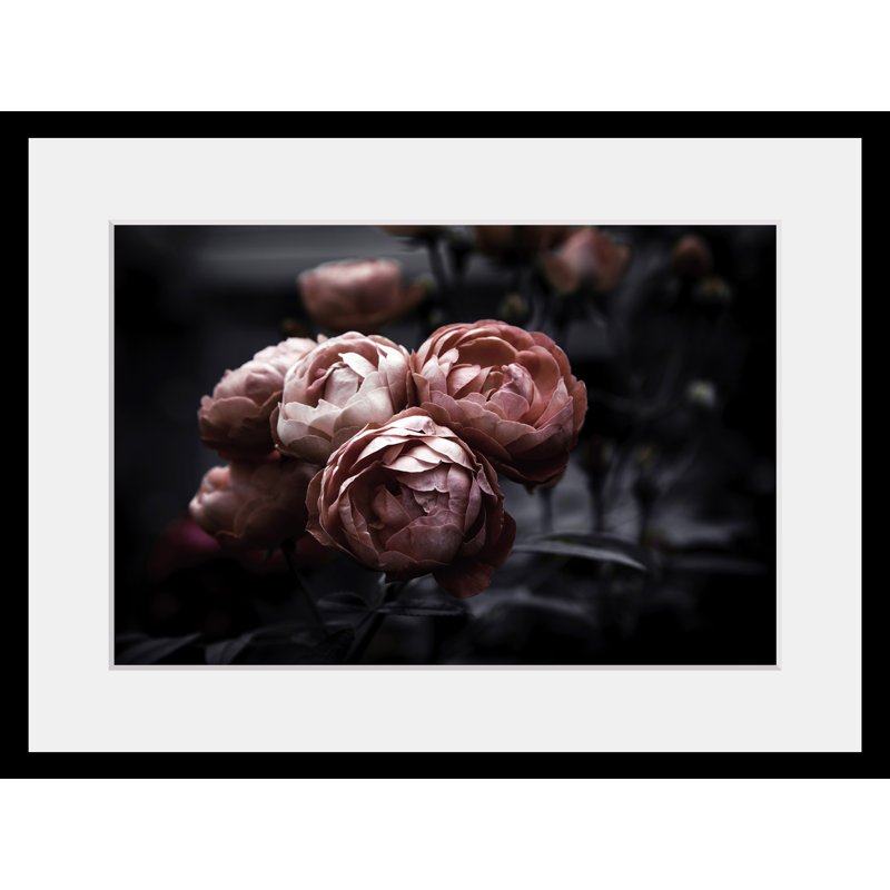 Rose - Single Picture Frame Print