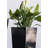 Self Watering Plastic Pot Planter-107316308