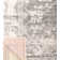Furtado Oriental Indoor Rug