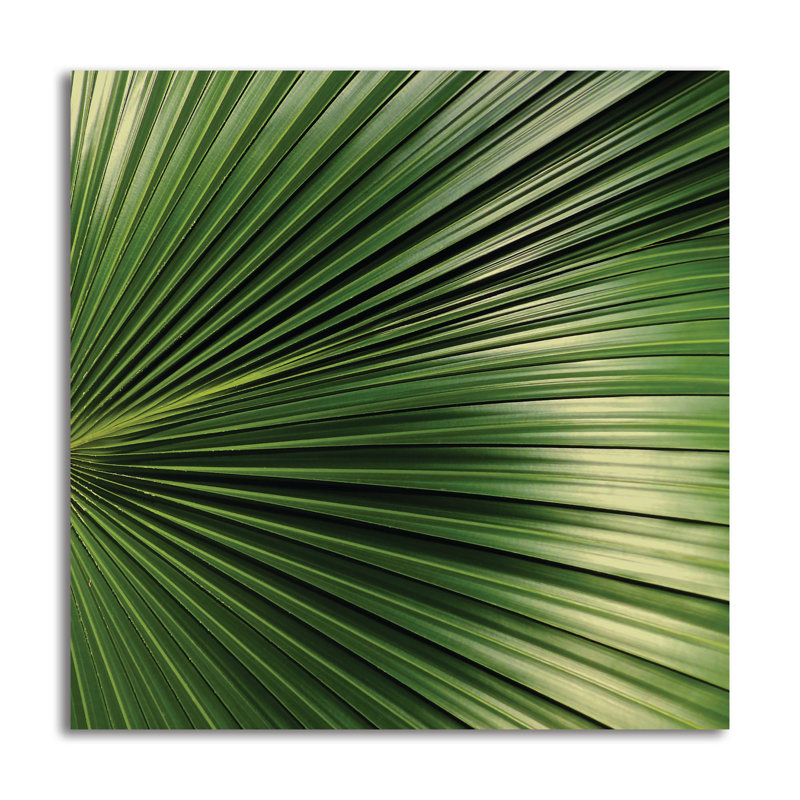 « nature up-close iv », reproduction de photo, H 24 po x l 24 po x P 0,01 po, Papier