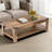 Damika Rectangular Coffee Table with 2-Tier Storage-1962851469