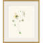 Early Bloom IV Painting by Yuki Osada
