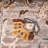 Taja Oriental Indoor Rug-497250244