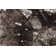 Bois Abstract Area Rug