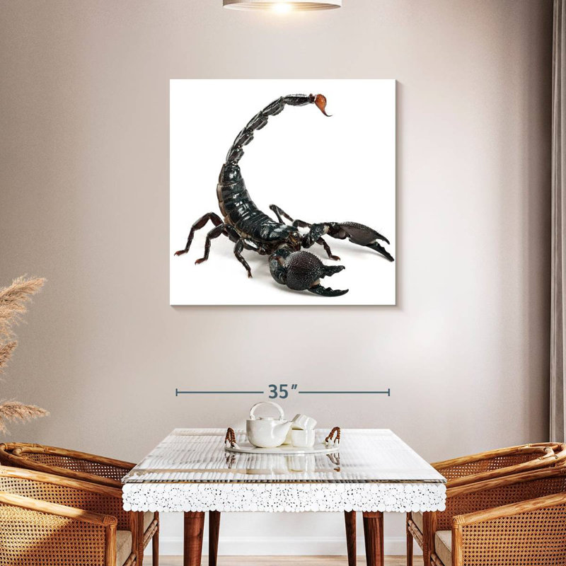 Crowle Scorpion, 36" H x 36" W