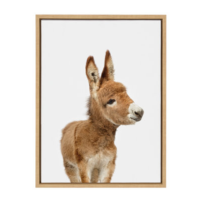"Animal Studio Burro" par Amy Peterson, reproduction d'art sur toile encadrée