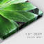 Green Tropical Succulent V - Photographie sur toile tendue-1329014528
