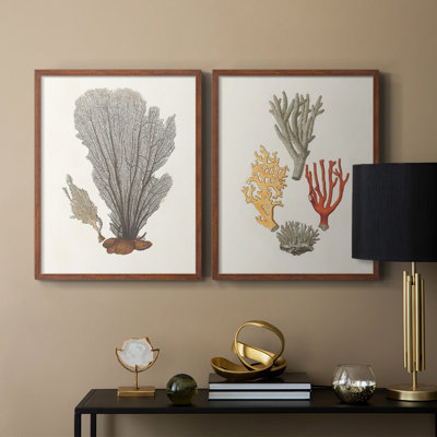 Knorr Shells & Coral III - reproduction encadrée de qualité supérieure - prête à être accrochée - aucun clou requis - aucun clou requis