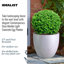 Fibreglass Plant Pot-39260670-39260877